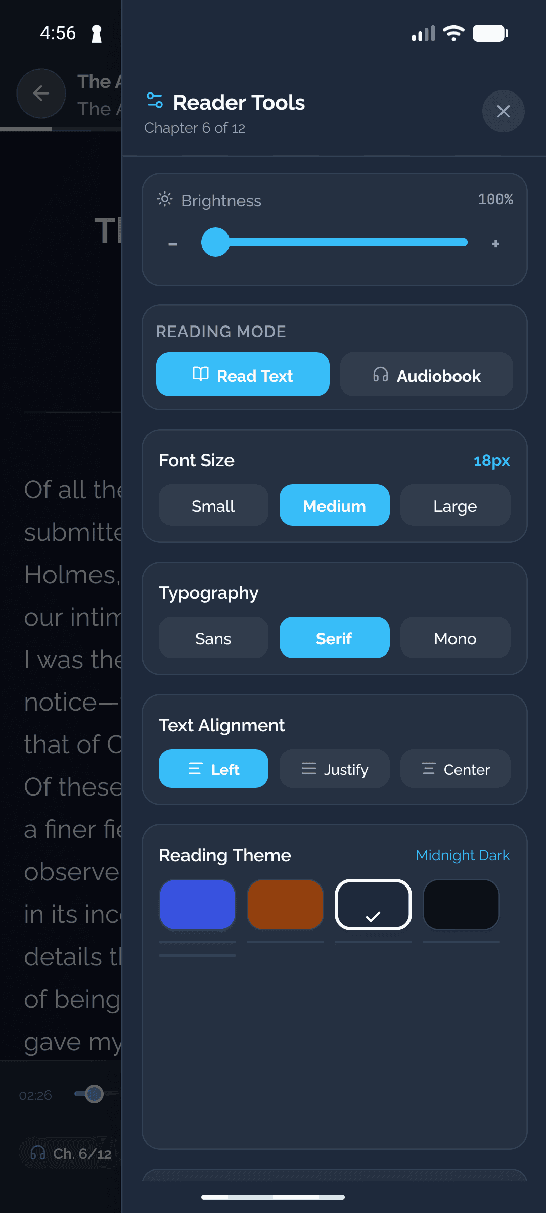 Reader themes and type settings